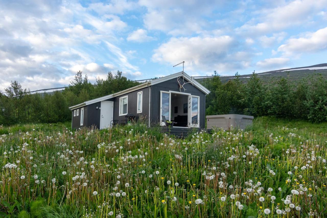 Viking Cottages & Apartments Akureyri Exterior foto